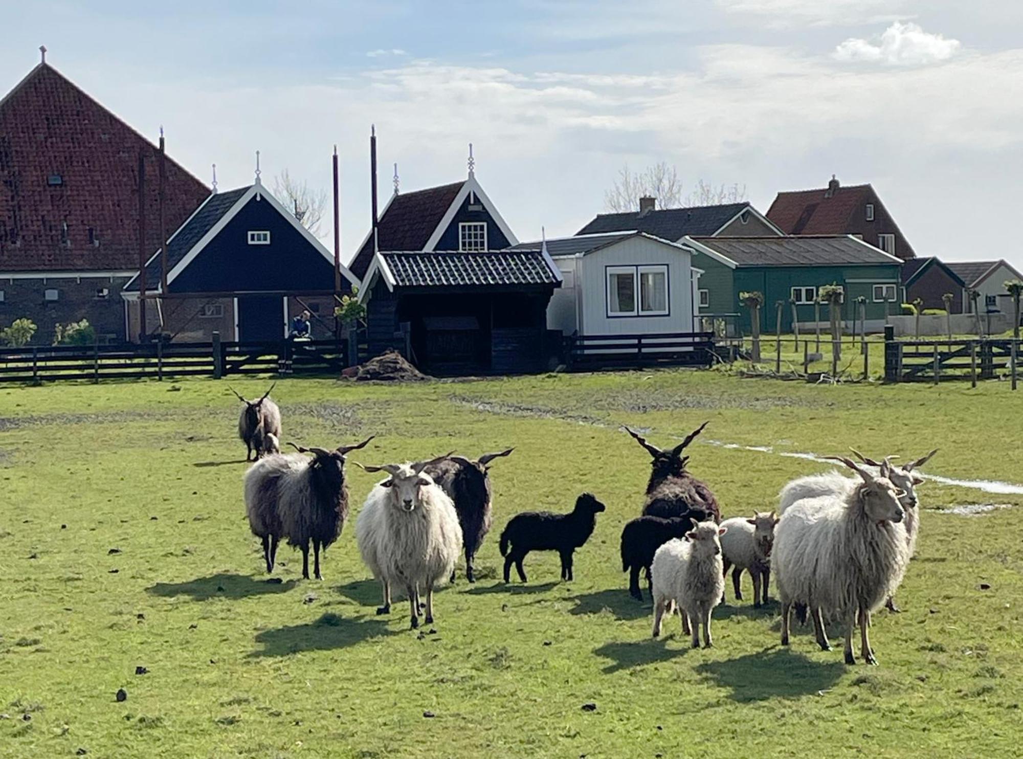 Welcome By Bianca Jisp エクステリア 写真